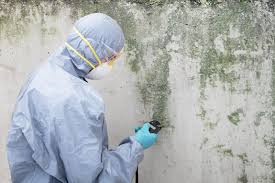 Best Mold Documentation for Insurance Claims  in South Venice, FL